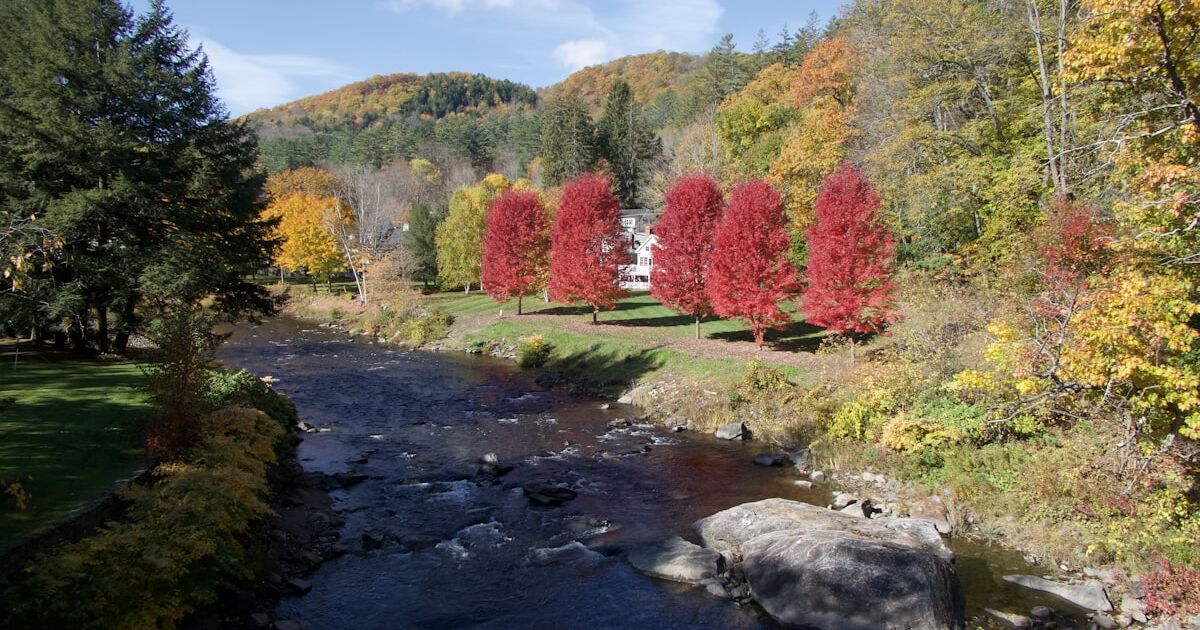 A Vermont river running through the woods